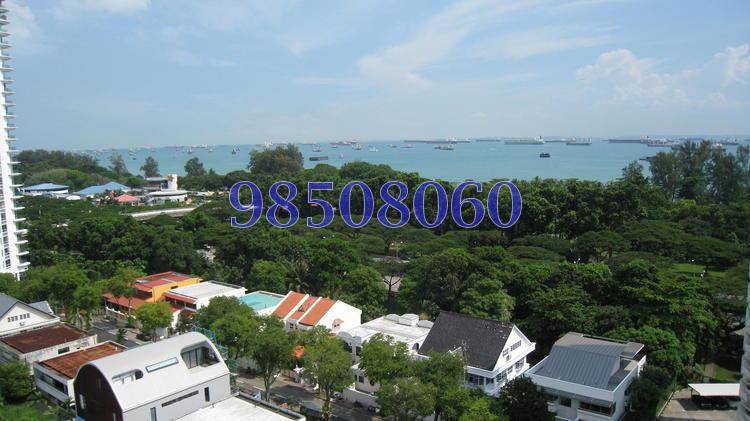Peach Garden (D15), Apartment #104482112